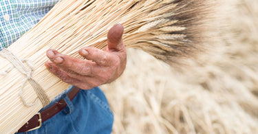 The Durum Difference