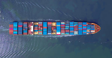 Lions, Tigers, and Tariffs (Oh My!): How Trade Policy Impacts the Global Supply Chain and Consumer Prices