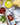 Zia Pia products including olive oil, basilico sauce, and pasta on a wooden surface.