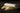 Close up of organic penne on a dark background