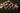 Close up of organic Signorine castagne pasta on a dark background
