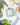 Can of olive oil with herbs and cheese on a white surface