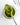 Spoonful of Zia Pia pesto over a white background