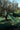 Two people working with a large green net in an olive grove.