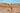 Two men standing in a wheat field
