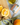 Oranges on a cutting board next to a tin of orange olive oil