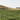 Savoring Sicily