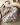 Colomba di Pasqua – The Italian Easter Cake