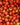 Tomato Sauces