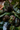Spring Seasonal Collection