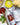 Zia Pia products including olive oil, basilico sauce, and pasta on a wooden surface.