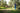 Man walking through an olive grove with a tractor in the background