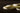 Close up of trenette pasta on a dark background. 