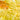 Assorted shapes of egg pasta on a white background