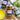 Three jars of different pestos and spreads on a wooden board with basil, garlic, and pasta