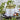Tea canister with 'La Via del Te' branding on a plate with berries and leaves