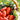 Basket filled with tomatoes and tomato vines