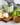 Basil olive oil tin on a wooden cutting board with basil and cheese