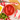 Red bowl of San Marzano tomatoes on a table with a red and white can of tomatoes