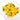 Farfalle pasta dish with mussels and saffron on a white plate