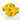 Farfalle pasta dish with mussels and saffron on a white plate
