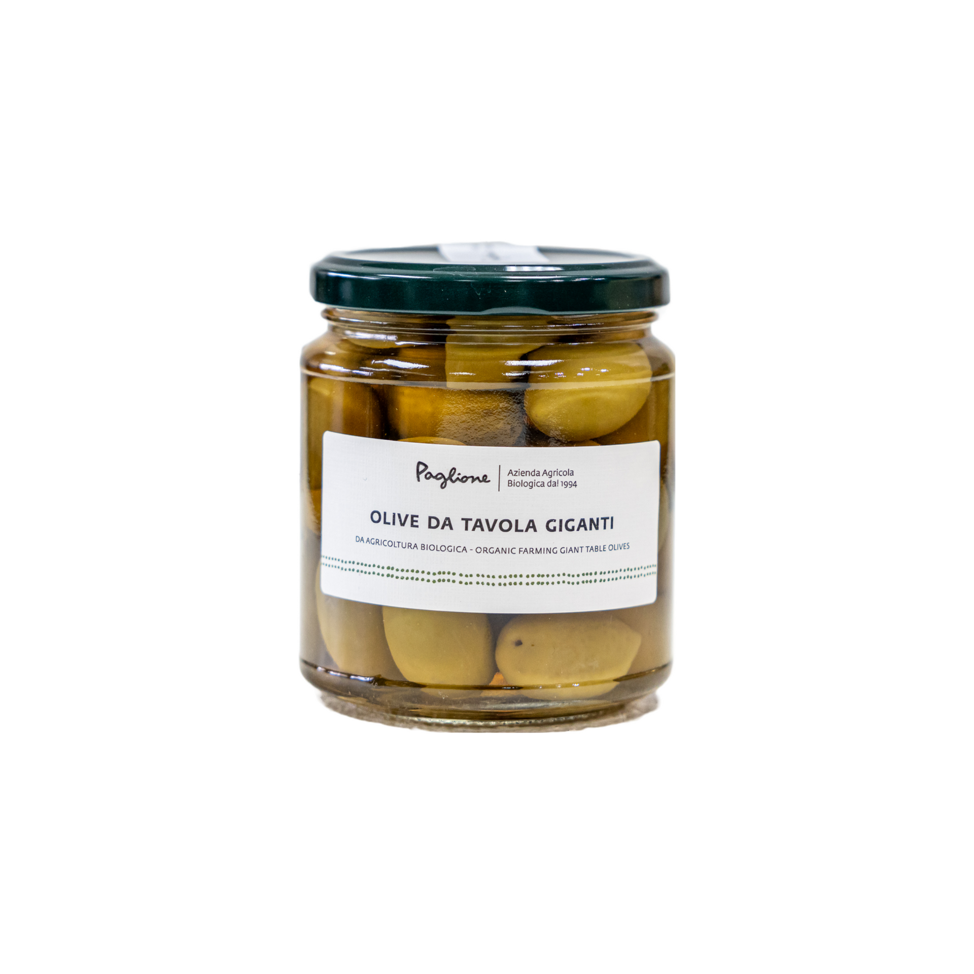 jumbogreenolives.png?v=